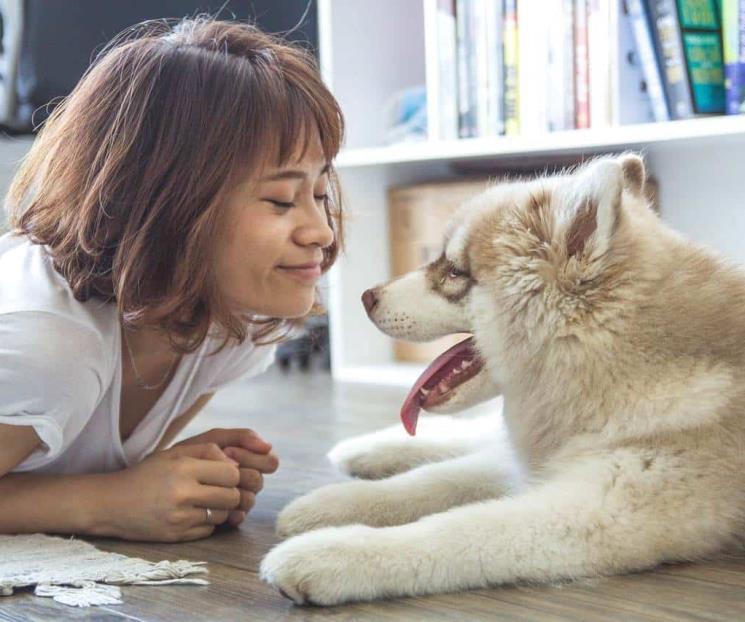 Pasar tiempo con un perro reduce el estrés