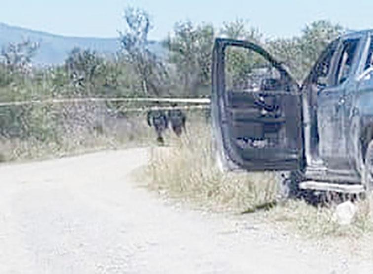 Hallan camioneta con 3 ejecutados en Sabinas