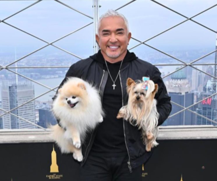 Para César Millán, el humano debe aprender del amor de los perros