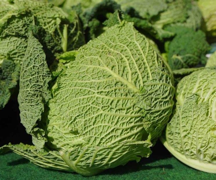 Verduras ricas en magnesio recomendadas para prevenir osteoporosis