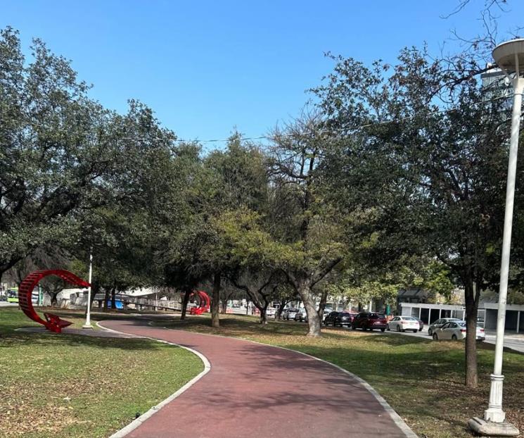 Daña a medio ambiente la falta de áreas verdes en AMM Daña a medio ambiente la falta de áreas verdes en AMM