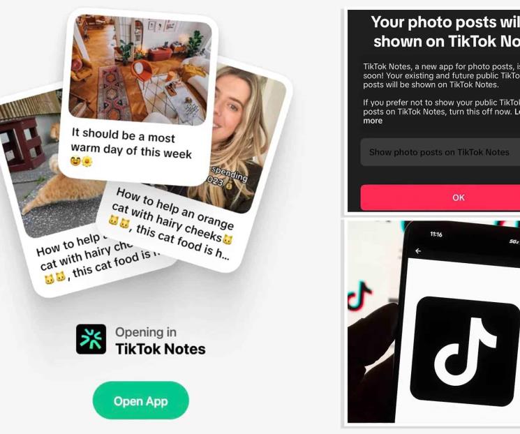 TikTok lanzará app para compartir fotos