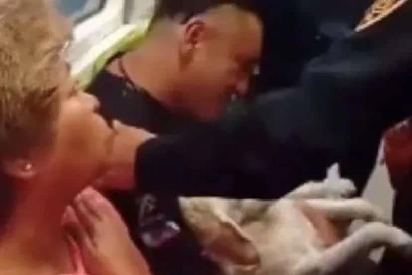 Bajan a usuario del Metro en CDMX: Llevaba a su perro a urgencias