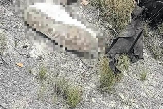 Localizan menor sin vida en Galeana Localizan menor sin vida en Galeana