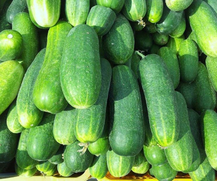 El licuado que aporta colágeno natural