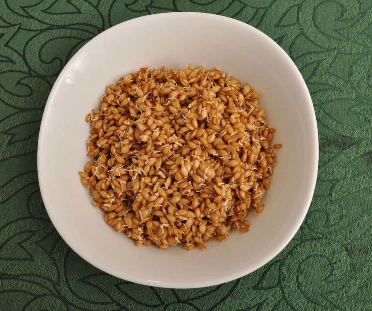 El cereal que ayuda contra el envejecimiento
