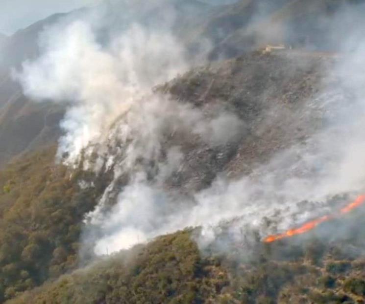 Aseguran reducir incendios con veda de fuego decretada