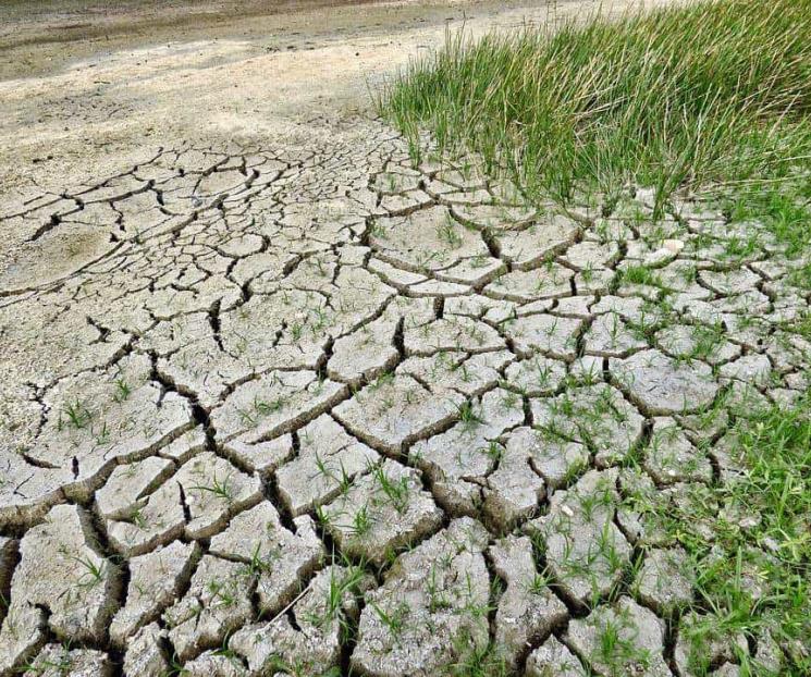 Cambio climático impactará en la economía mexicana: UNAM