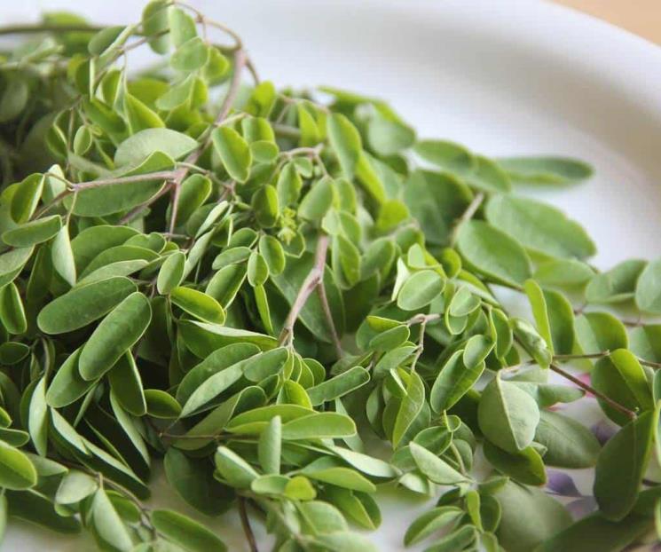 La planta originaria de India que alivia la colitis