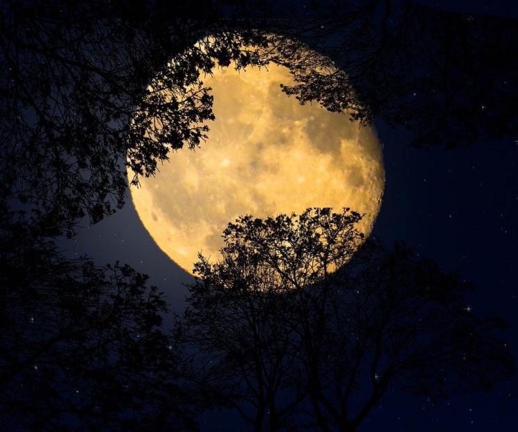 Consejos para ver la Luna Rosa Consejos para ver la Luna Rosa