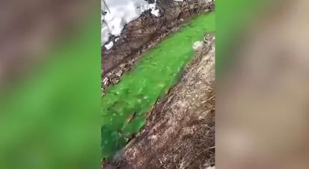 Río se tiñe de color verde brillante en Rusia Río se tiñe de color verde brillante en Rusia