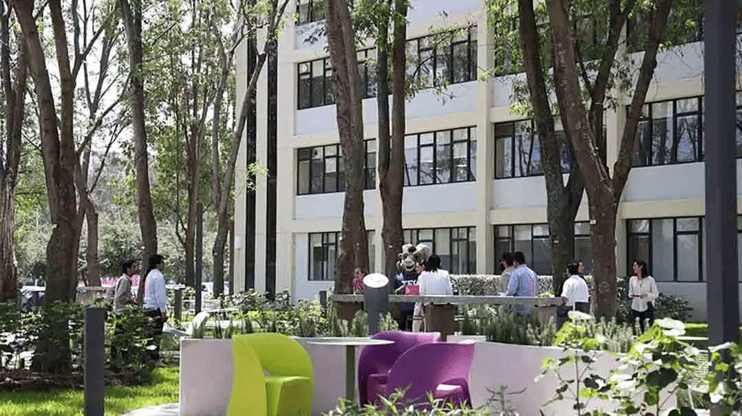 Espacio sostenible: crea Tec jardín para estudio colaborativo