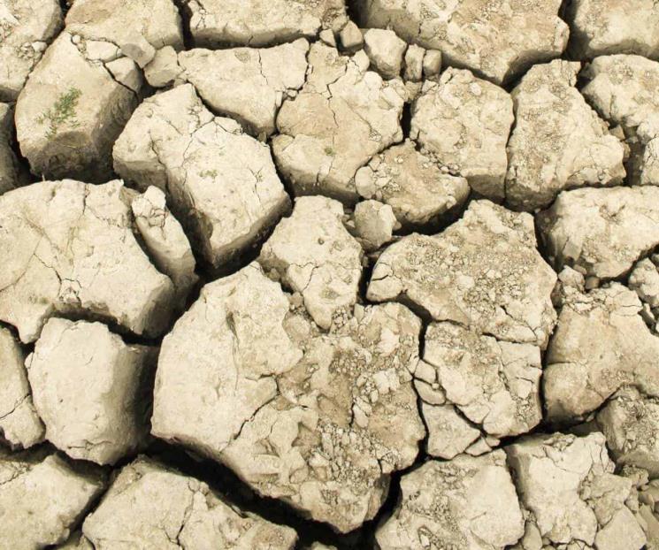 Activan alarmas por crisis de agua en Tamaulipas