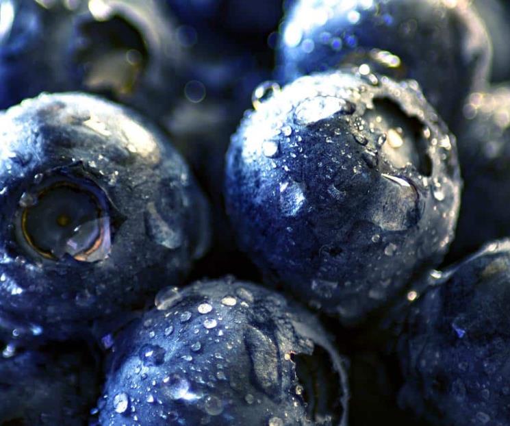 Los beneficios de incluir arándanos en la dieta diaria