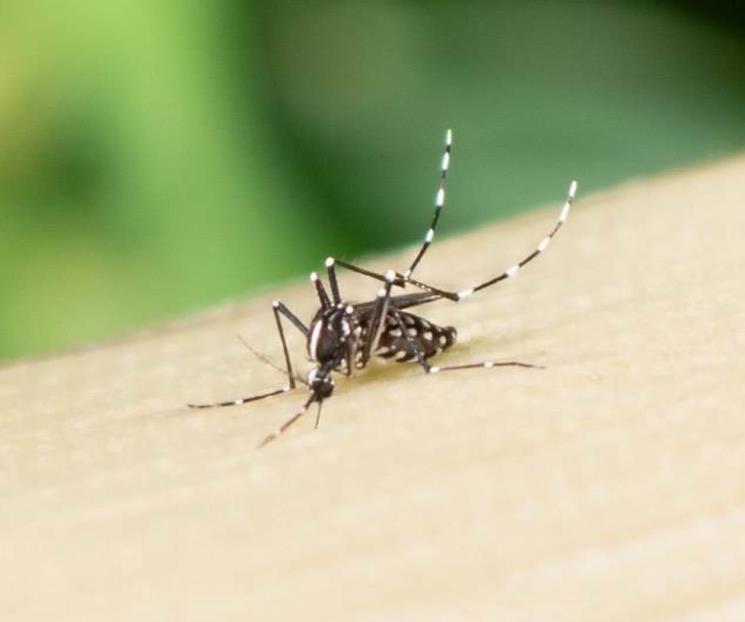 Por epidemia de Dengue, declaran emergencia nacional en Guatemala