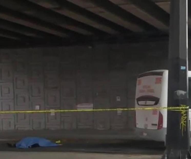 Muere mujer arrollada por ruta urbana en San Nicolás