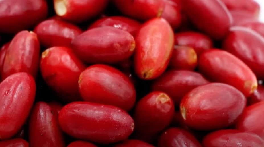 La extraña fruta dulce que alivia los síntomas de la quimioterapia