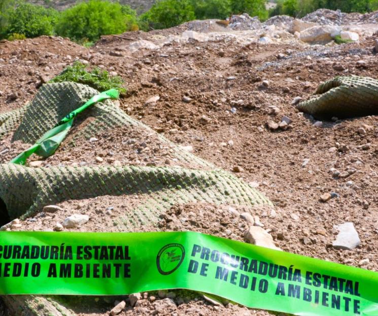 Dicen ‘no’ a la tala en Cerro de la Silla Dicen ‘no’ a la tala en Cerro de la Silla