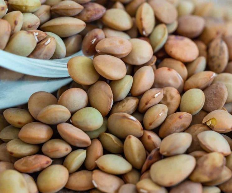 Lentejas ayudan a no subir de peso, reduce absorción de grasas