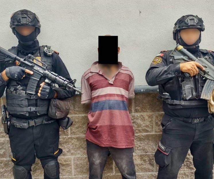 Capturan a par de halcones