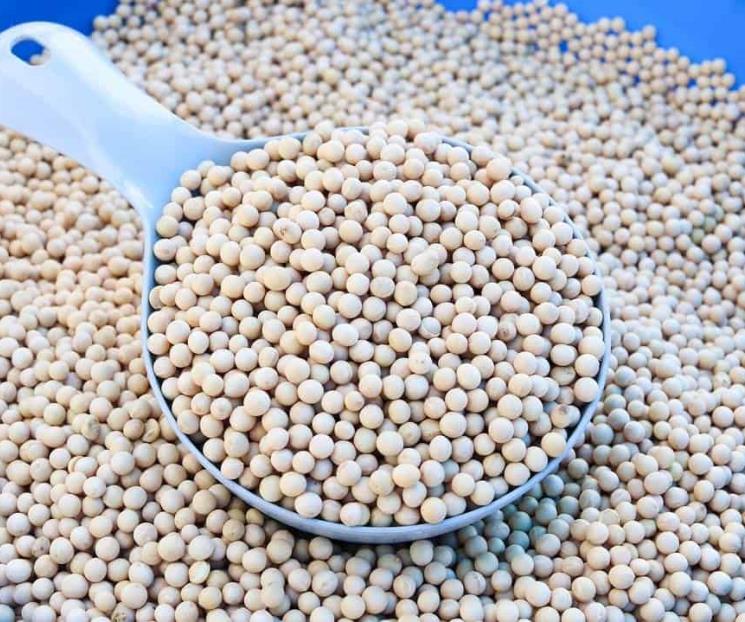 Los beneficios de la soja para la salud