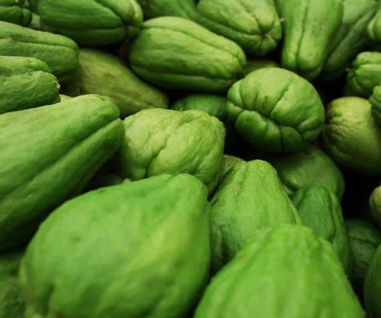 7 tipos de chayote que existen en México