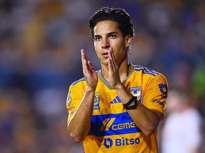 Los peores momentos de los Tigres en este 2024