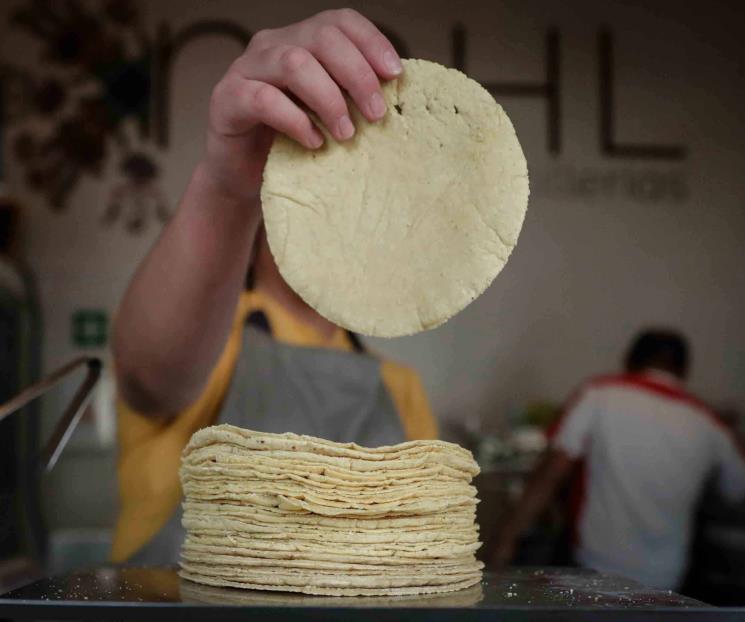 Inflación y extorsiones elevan precios de la tortilla