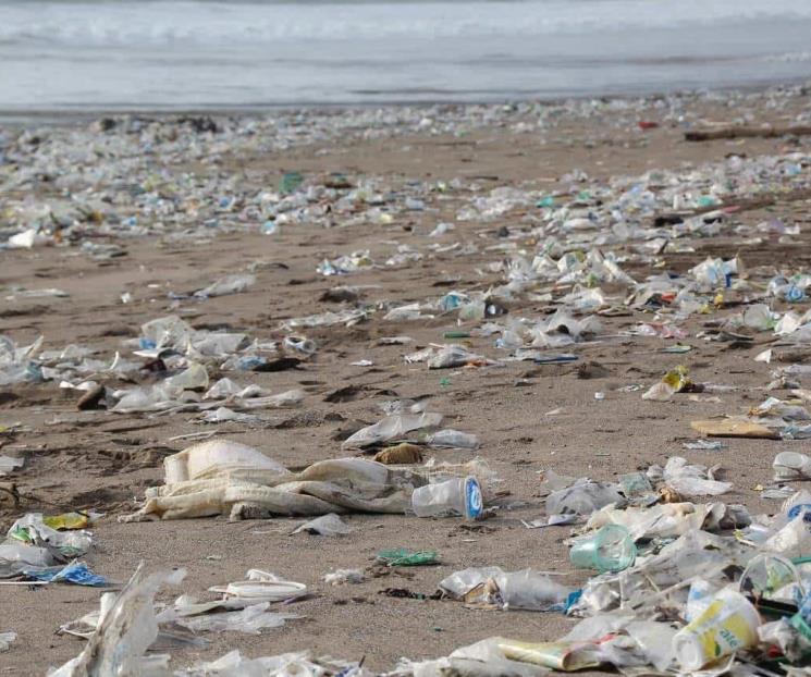 Solo 9% de los plásticos se reciclan: BID