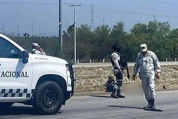 Sale de entre los matorrales, trata de cruzar la carretera y muere