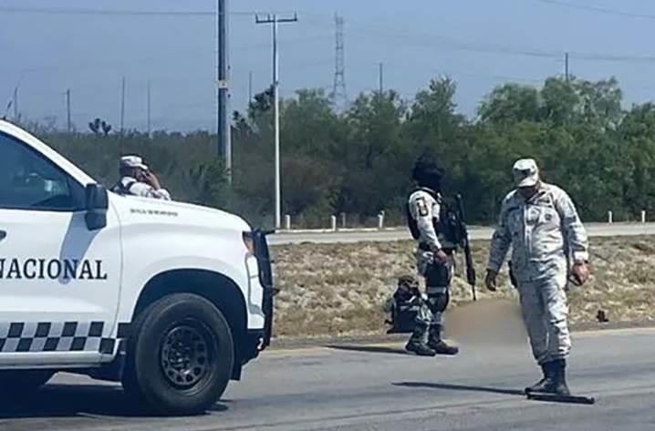 Sale de entre los matorrales, trata de cruzar la carretera y muere Sale de entre los matorrales, trata de cruzar la carretera y muere