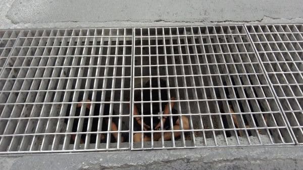 Un grupo de cuatro menores que entraron por curiosidad a un drenaje pluvial y tras recorrer al menos dos kilómetros y medio ya no pudieron salir, fueron rescatados ayer en el municipio de Escobedo.