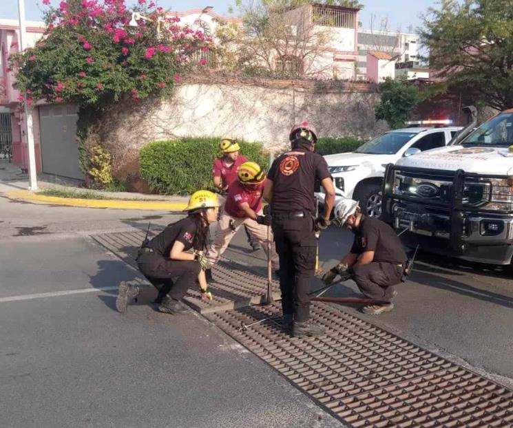 Rescatan a cuatro menores de drenaje pluvial en Escobedo