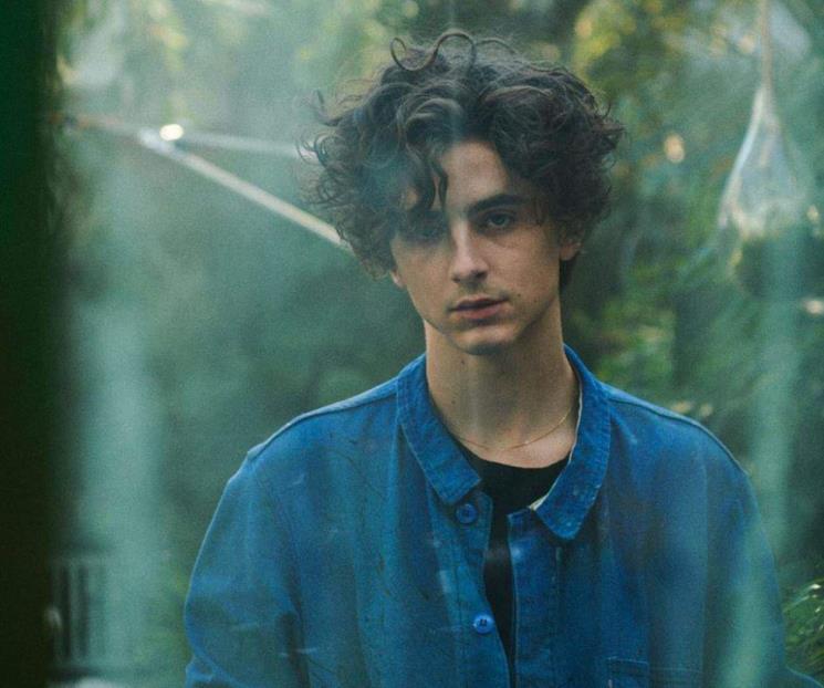 Sorprende figura de cera de Timothée Chalamet en el Madame Tussauds