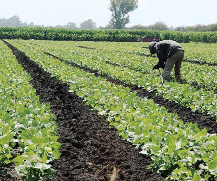 Crece economía 0.3% durante el primer trimestre