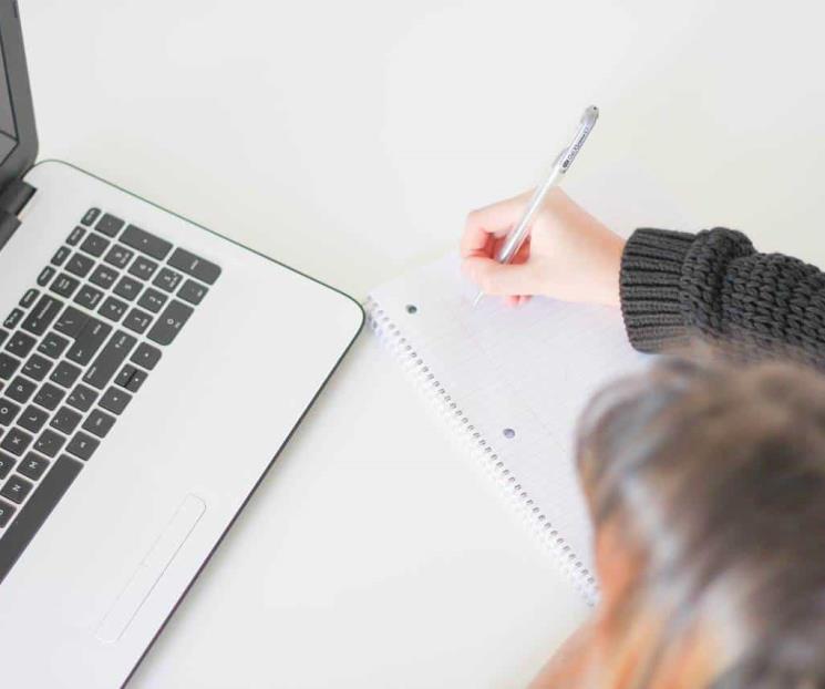 Estas son las técnicas ideales de estudio según Harvard