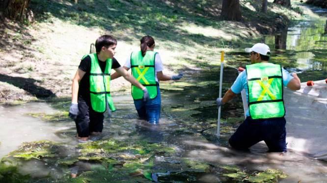 Celebrará la UANL Feria Ambiental