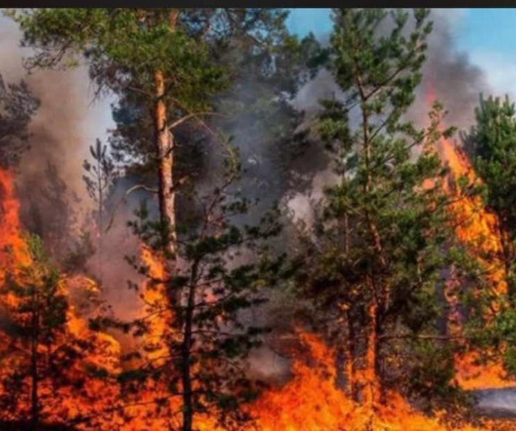 Aseguran que incendios  no representan riesgos