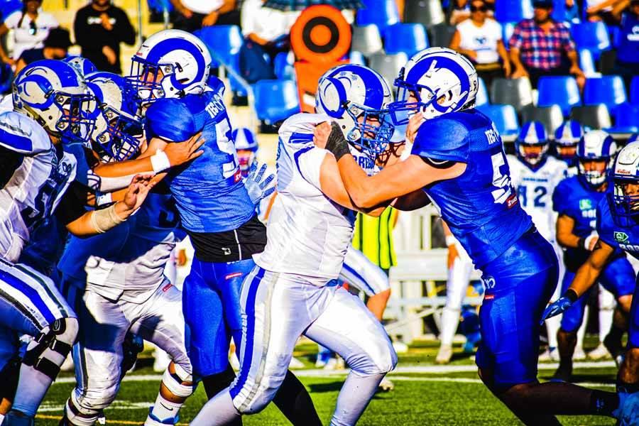 Borregos se meten a la final de la categoría juvenil de la Onefa