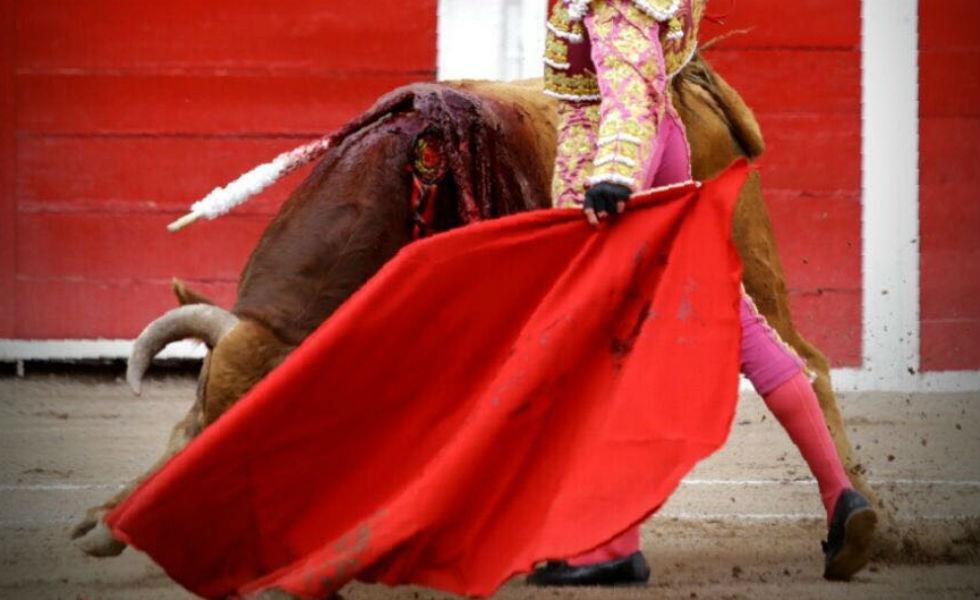 La esperanza muere al último