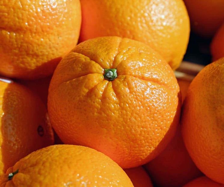Esta es la fruta que previene el Alzheimer