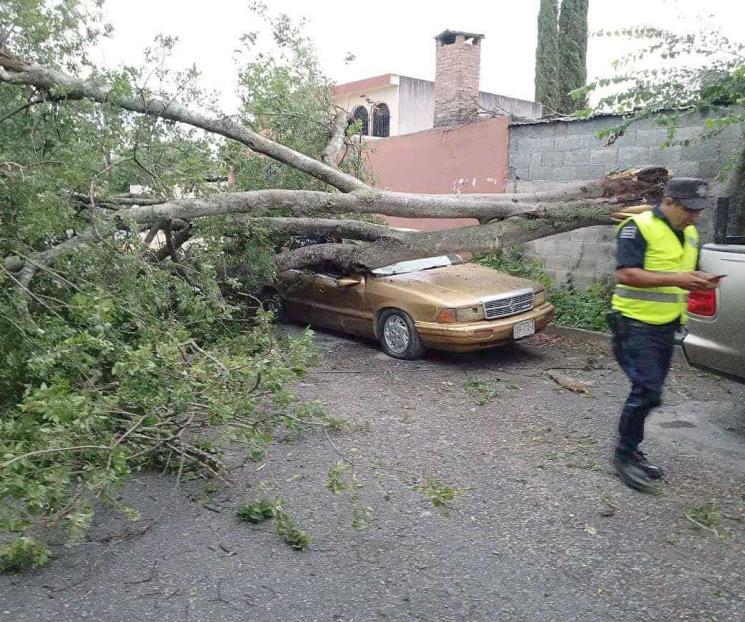 Azota tromba el sur y zona citrícola del estado