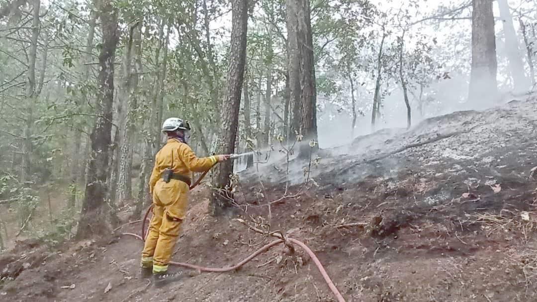 Logran extinguir incendio en sierra de Santiago Logran extinguir incendio en sierra de Santiago