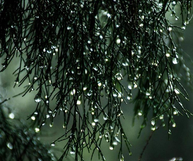 Conagua prevé lluvias en la sierra y zona citrícola de Nuevo León