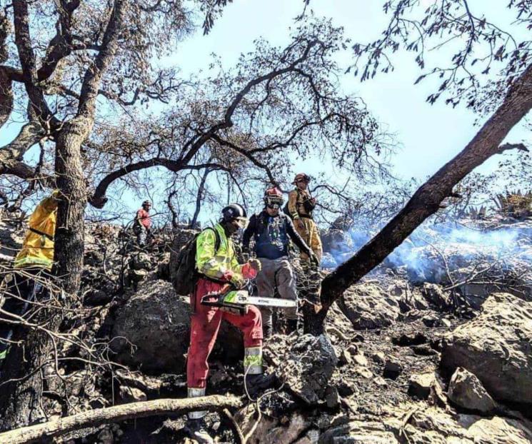Controlan incendio forestal en la Estanzuela
