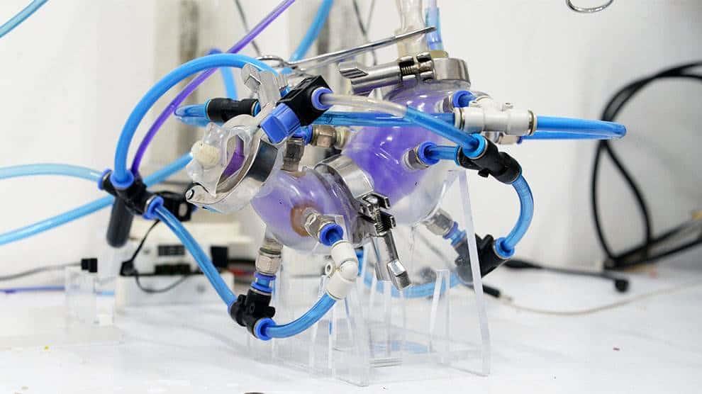 Desarrollan científicos de la UNAM estómago artificial