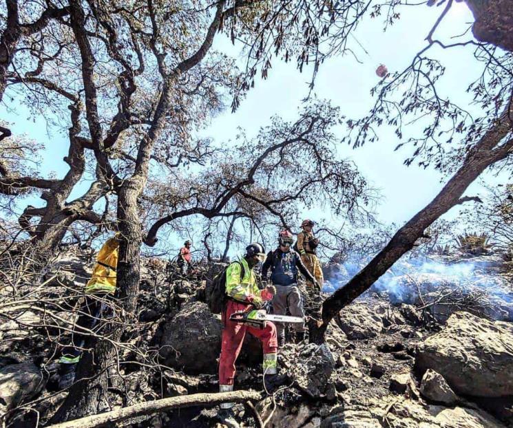 Controlan incendio en la Estanzuela