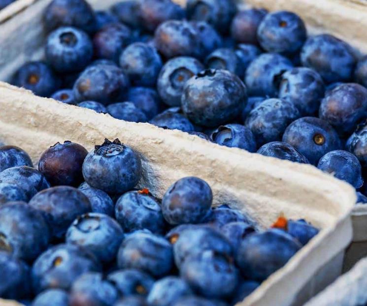 Tres tipos de alimentos que previenen el glaucoma Tres tipos de alimentos que previenen el glaucoma