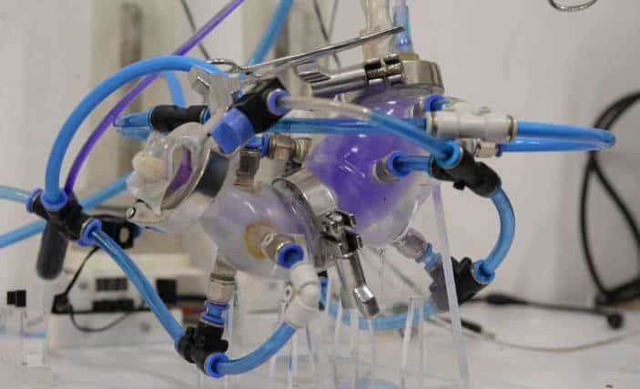 Desarrollan científicos de la UNAM estómago artificial