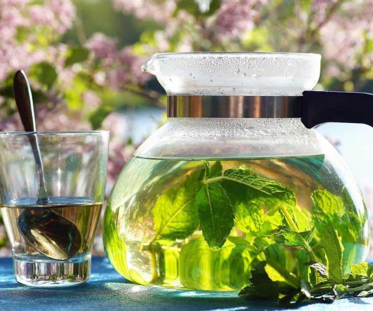 La exquisita hierba natural para bajar la fiebre La exquisita hierba natural para bajar la fiebre